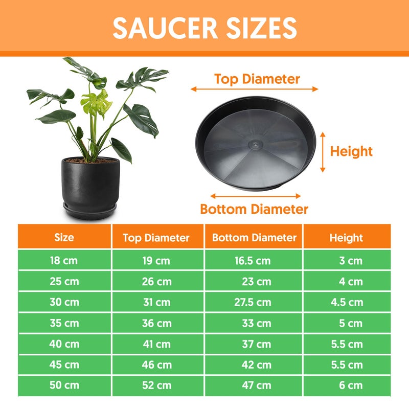 Meridian EarlyGrow 5-Pack 30cm Plant Pot Saucers, Flower Drip Trays - CT - Image 5
