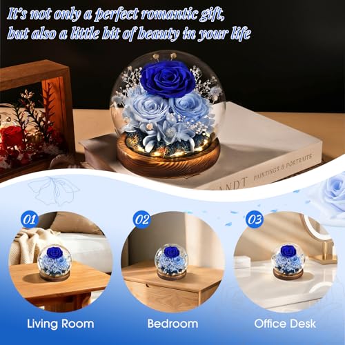 FIACO Gifts for Mom Mothers Day Birthday Gifts for Women Preserved Flowers in Glass Dome Long-Lasting Eternal Roses for Her Grandma Wife Girlfriend Blue Forever Flowers for Delivery Prime Anniversary - Image 5