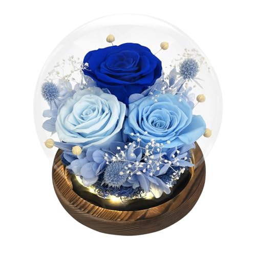 FIACO Gifts for Mom Mothers Day Birthday Gifts for Women Preserved Flowers in Glass Dome Long-Lasting Eternal Roses for Her Grandma Wife Girlfriend Blue Forever Flowers for Delivery Prime Anniversary - Image 1