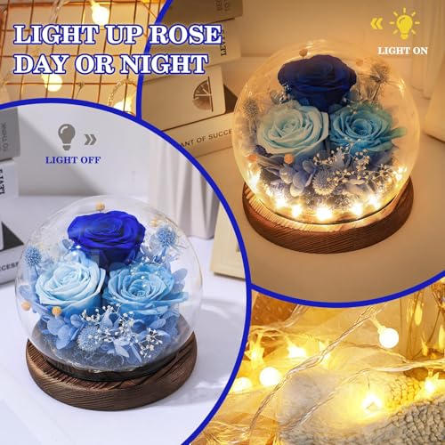 FIACO Gifts for Mom Mothers Day Birthday Gifts for Women Preserved Flowers in Glass Dome Long-Lasting Eternal Roses for Her Grandma Wife Girlfriend Blue Forever Flowers for Delivery Prime Anniversary - Image 3