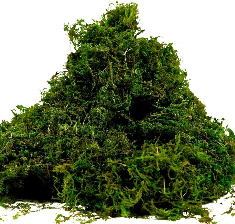 Melostu Farmoo Fake Moss for Crafts, Artificial Green Moss for Potted Plants Centerpieces Decor (3.5OZ) - Image 1