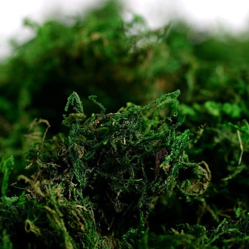 Melostu Farmoo Fake Moss for Crafts, Artificial Green Moss for Potted Plants Centerpieces Decor (3.5OZ) - Image 2