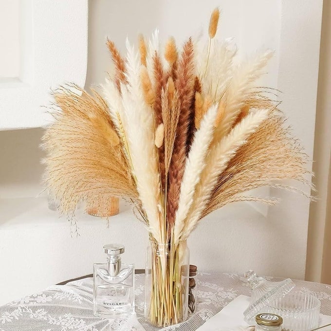 NATURAL DRIED PAMPAS GRASS FLUFFY STEMS PLANTS FOR DECORATION DECORATIVE PAMPAS GRASS SET OF 6PCS