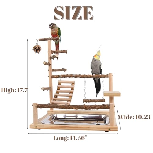 GOVNPJ Bird Playground with Feeder Cups Wooden Parrot Play Stand for Cockatiel Parakeet - Image 3
