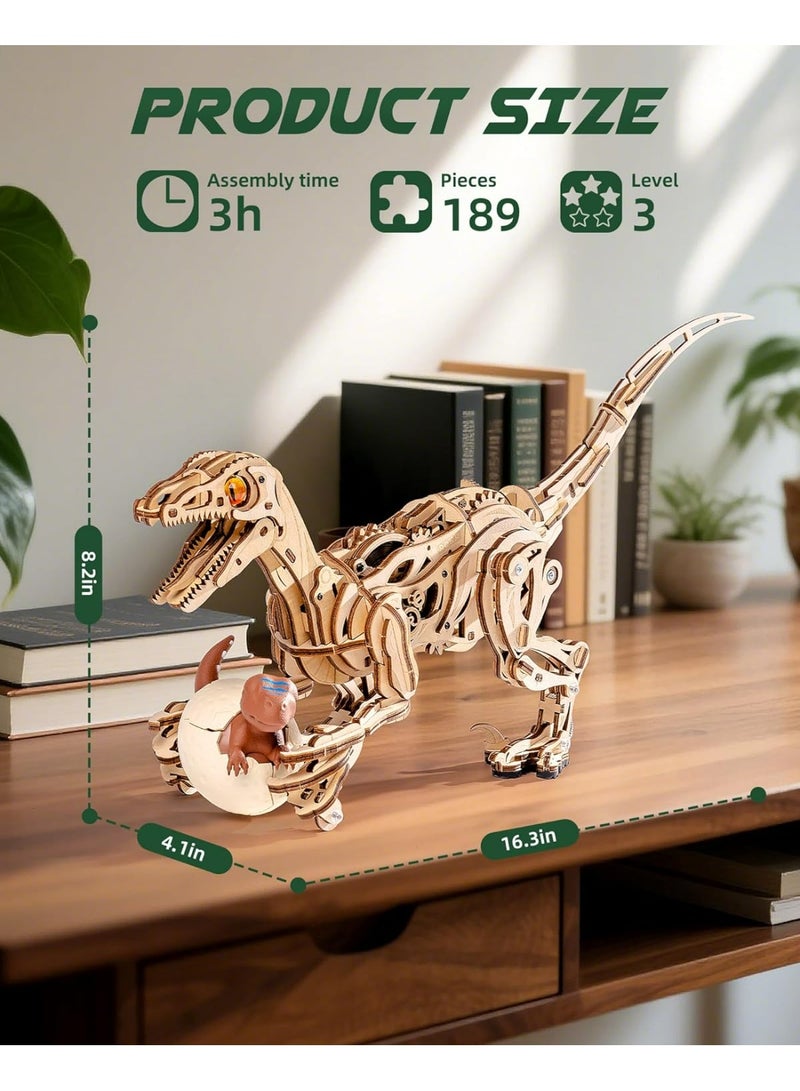 روبوتايم روكر فيلوسيرابتور - لغز ميكانيكي ثلاثي الأبعاد خشبي LD01 - Image 4