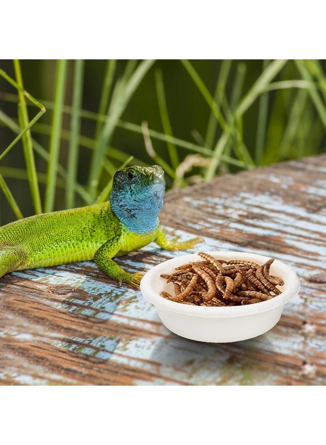Frcctre 300 Pack 1 oz Gecko Feeding Cups, Small Paper Gecko Food and Water Feeding Cups Reptile Feeder Bowls Ledge Accessories for Crested Gecko Lizards Tarantula Reptiles Pets - Image 5