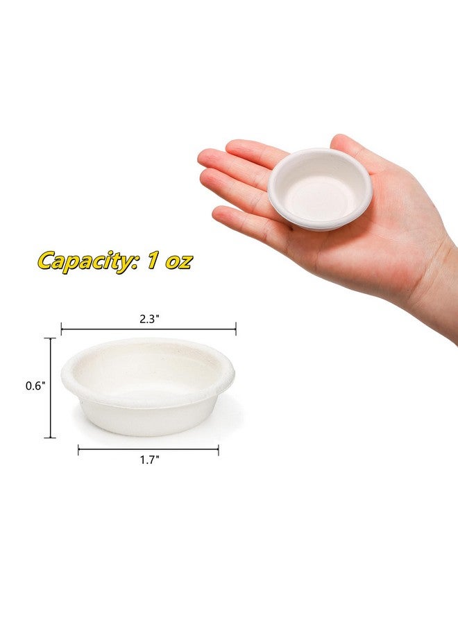 Frcctre 300 Pack 1 oz Gecko Feeding Cups, Small Paper Gecko Food and Water Feeding Cups Reptile Feeder Bowls Ledge Accessories for Crested Gecko Lizards Tarantula Reptiles Pets - Image 2