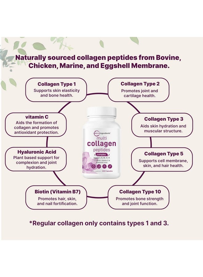 Micro Ingredients Micro Ingredients Multi Collagen Pills for Women & Men, 240 Capsules | Type I, II, III, V, X - Hydrolyzed Collagen Peptides with Biotin, Hyaluronic Acid & Vitamin C | Hair, Skin, Nail & Joint Support  - Image 4