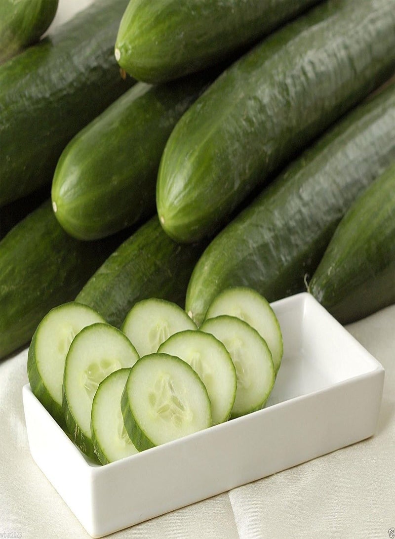 GGOOT Ashley Cucumber, a Cucumber for HOT Summers Locations. Productive,100 Seeds! - Image 1