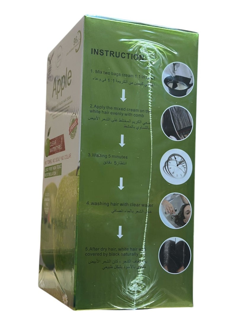 Apple  Ammonia Free Black Hair Color  500mlx2