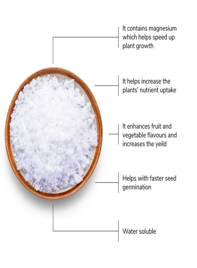 أوجاو ملح إبسوم من أوغاو لنمو النباتات - سماد عضوي من كبريتات المغنيسيوم (3 كجم) - Image 2