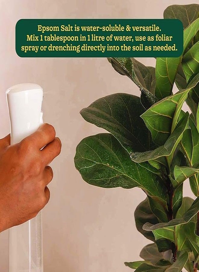 أوجاو ملح إبسوم من أوغاو لنمو النباتات - سماد عضوي من كبريتات المغنيسيوم (3 كجم) - Image 3