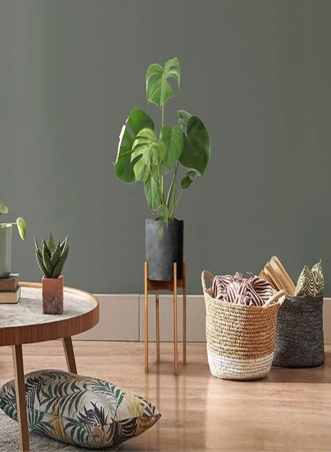 Fox & Fern Modern Plant Stand, Cherry Wood, Without Pottery Pottery, White, Modern - Image 2