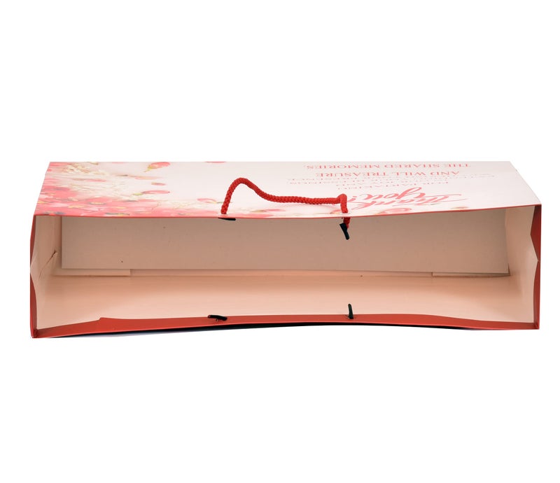 PPJ ® - THANK YOU MESSAGE (MULTICOLOUR) PAPER CARRY BAG, 16 Inch X 12 Inch X 4 Inch for DIWALI/WEDDING/FUNCTION/BIRTHDAY/RETURN GIFTS/CHRISTMAS (Pack of 15) - Image 5