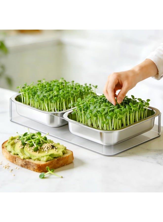 Fanhao Stainless Steel Sprouts Growing Kit with Acrylic Trays, Microgreens Growing Kit Stainless Steel Plant Germination Tray - Image 3