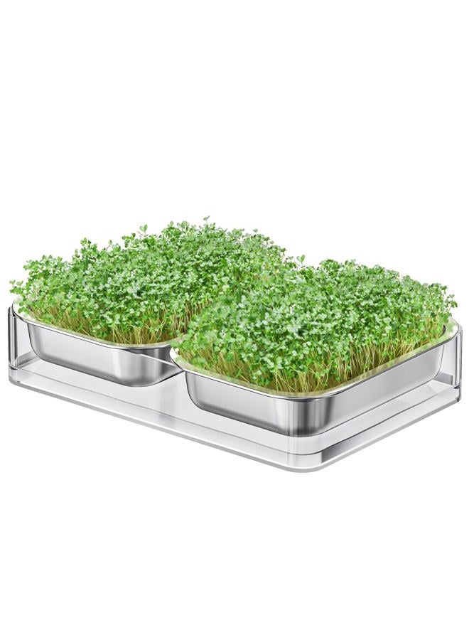 Fanhao Stainless Steel Sprouts Growing Kit with Acrylic Trays, Microgreens Growing Kit Stainless Steel Plant Germination Tray - Image 1