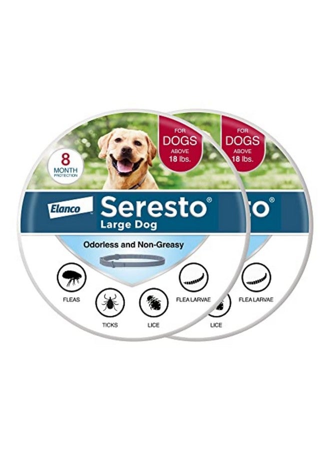 Seresto Large Dog Vet-Recommended Flea & Tick Treatment & Prevention Collar for Dogs Over 18 lbs. | 2-Pack - Image 1