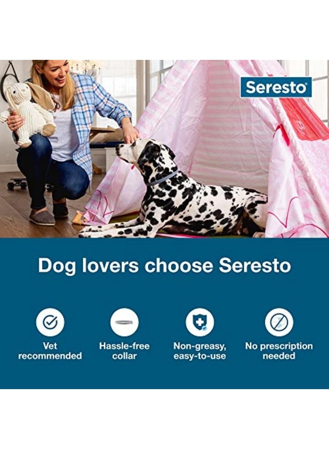 Seresto Large Dog Vet-Recommended Flea & Tick Treatment & Prevention Collar for Dogs Over 18 lbs. | 2-Pack - Image 3
