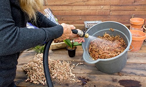 SuperMoss (22301) Orchid Sphagnum Moss Dried, Natural, 8oz - Image 2