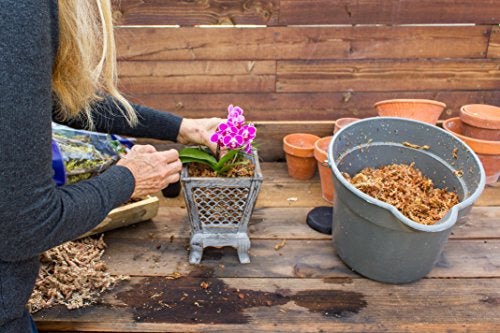 SuperMoss (22301) Orchid Sphagnum Moss Dried, Natural, 8oz - Image 4