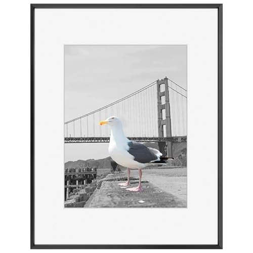 Frametory, 16x20 Metal Picture Frame with Mat for 11x14 Picture & Real Glass, Aluminum Photo Frame Collection (Black, 1 Pack) - Image 1