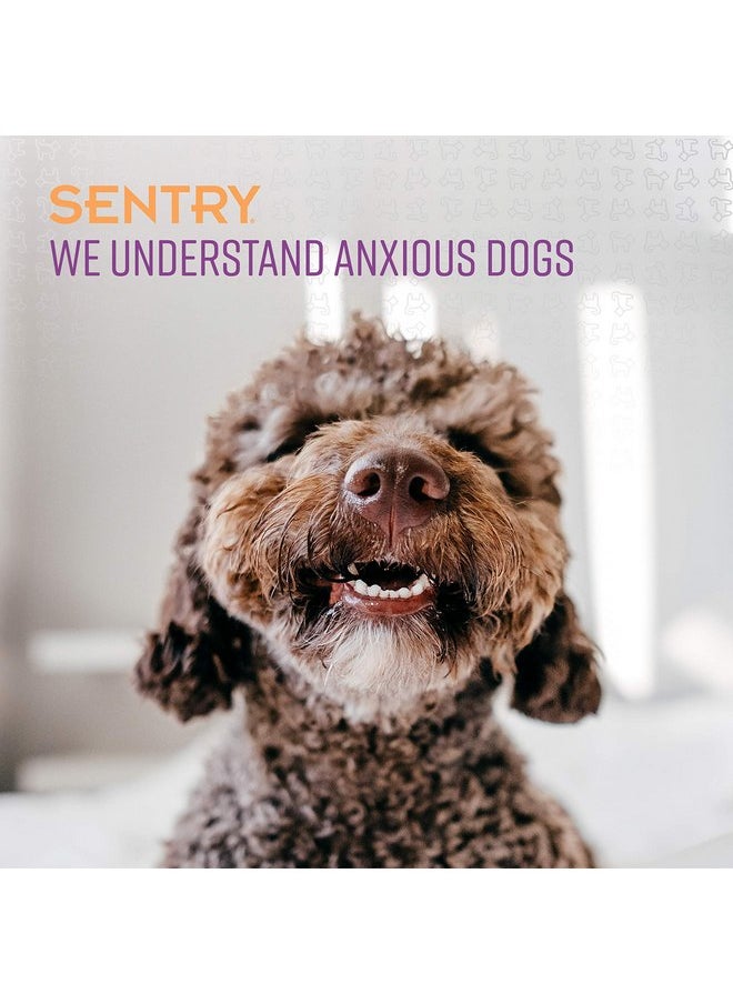 Sentry - Sentry Pet Care Stop That! Behavior Correction Spray for Dogs, Easy Spray Application, Noise and Pheromones Help Eliminate Excessive Barking, Marking, Jumping, and Other Unwanted Behaviors - Image 1