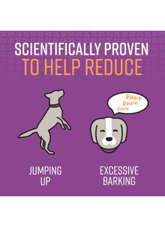Sentry Pet Care Stop That! Behavior Correction Spray for Dogs, Easy Spray Application, Noise and Pheromones Help Eliminate Excessive Barking, Marking, Jumping, and Other Unwanted Behaviors