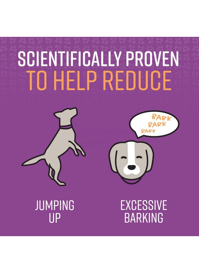 Sentry - Sentry Pet Care Stop That! Behavior Correction Spray for Dogs, Easy Spray Application, Noise and Pheromones Help Eliminate Excessive Barking, Marking, Jumping, and Other Unwanted Behaviors - Image 1