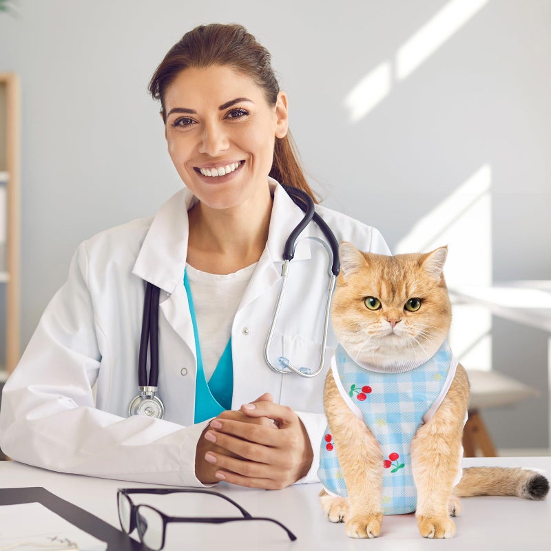 Avont 2 Pack Cat Recovery Suit - Kitten Onesie for Cats After Surgery, Surgical Spay Recovery Suit Female for Abdominal Wounds or Skin Diseases Protection -Cherry/Strawberry(S) - Image 2