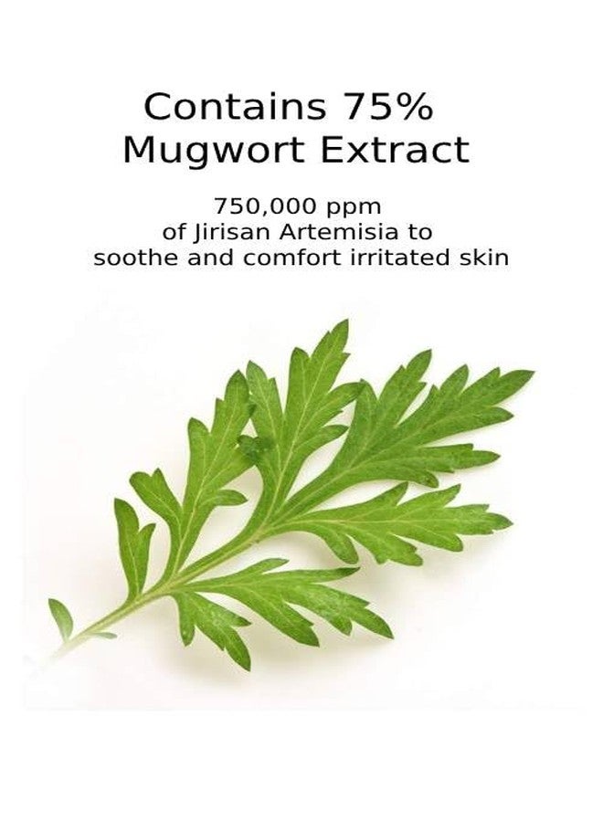 CHARMZONE Mugwort Serum The Original 1.69oz - Calming & Hydrating Serum for Healthy, Radiant Skin - Image 3