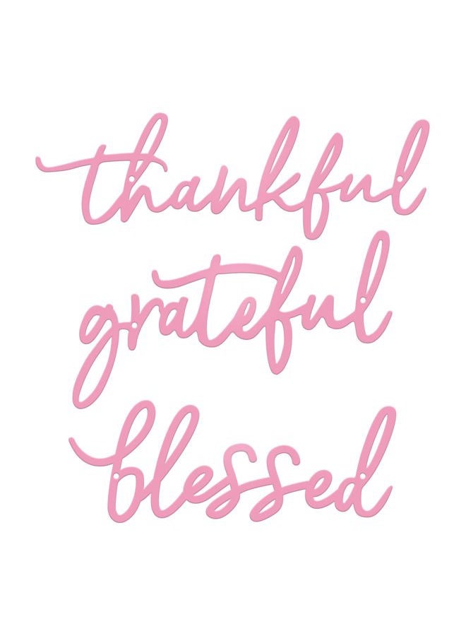ESTART Thankful Grateful Blessed Letter Sign Metal Wall Decor, 3 Piece Pink Letters Wall Art for Bathroom Bedroom Metal Words Wall Decor for Home Decor (Pink) - Image 1