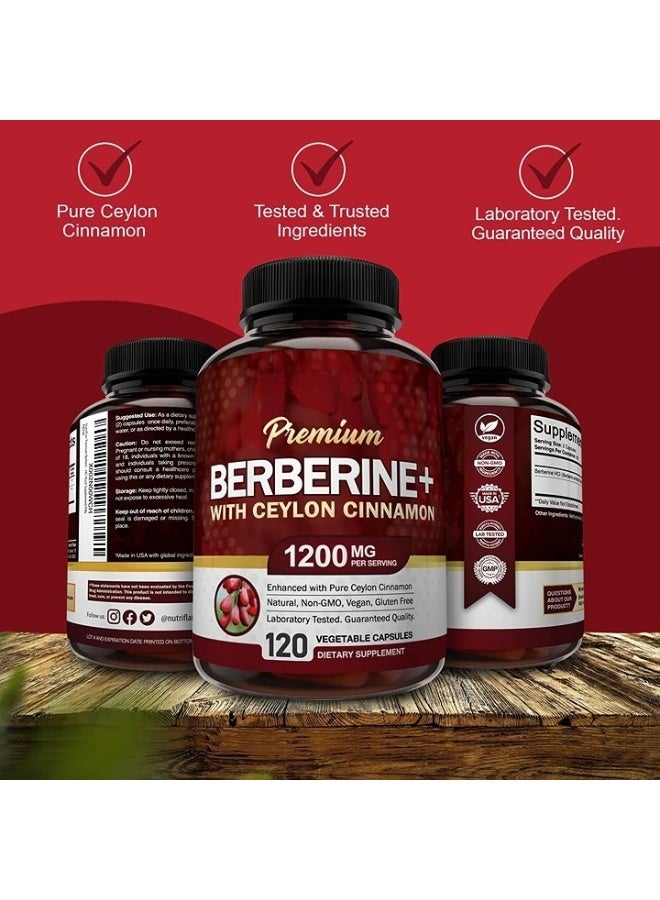 Premium Berberine HCL 1200mg, 120 Capsules - Plus Pure True Ceylon Cinnamon, Berberine HCI Root Supplements Pills - Immune System - yields an Optimal 8% HCl - Image 4