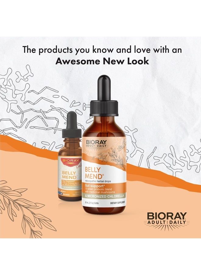 BIORAY Daily Belly Mend - 2 fl oz - 11-Strain Probiotic Blend with Medicinal Mushrooms - Supports Healthy Gut & Bowel Functions - Non-GMO, Vegetarian, Gluten Free - Image 3