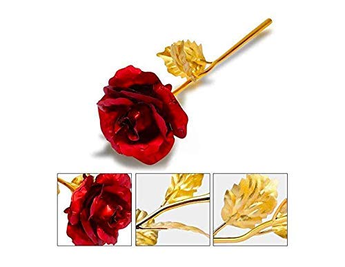 AGARWAL TRADING CORPORATION Agarwal Trading Corporation Valentines Day Gift Artificial Rose Flower with Teddy Bear and Carry Bag for Girlfriend Boyfriend Wife Husband Friend Teddy  - Image 5