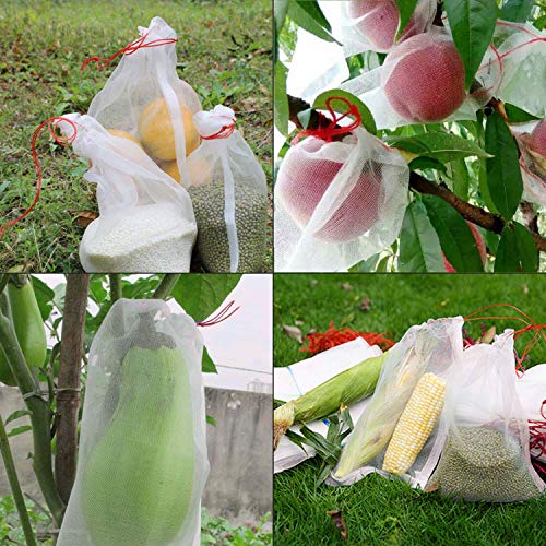 Divayanshi Fruit Protection Bags | Reusable Mesh Net with Drawstring | Breathable, UV-Resistant & Eco-Friendly | Insect & Pest Cover for Fruits, Vegetables, Garden & Farm | 8"x12" 25 pcs - Image 4
