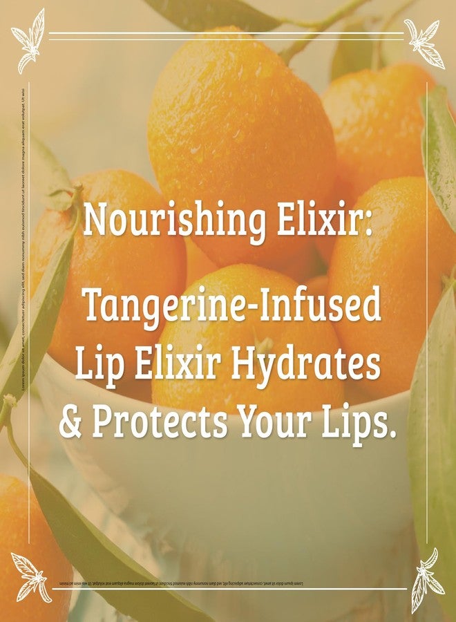 Pharmacopia Chamomile Tangerine Vegan Lip Elixir - Nourishing Vegan Herbal Lip Balm with 100% Natural and 70% Certified Organic Ingredients, 0.25 Oz, Pack of 3 - Image 3