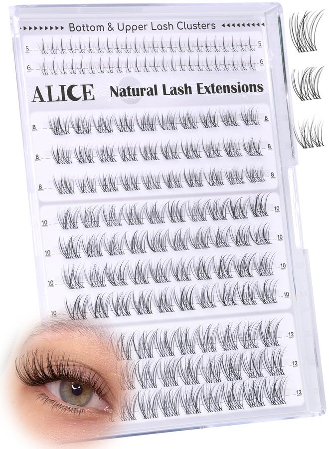 ALICE Natural Short Lash Clusters 8-12mm Eyelash Clusters Wispy Cluster Eyelash Extensions Clear Band Individual Lashes with 5-6mm Bottom Lashes - Image 1