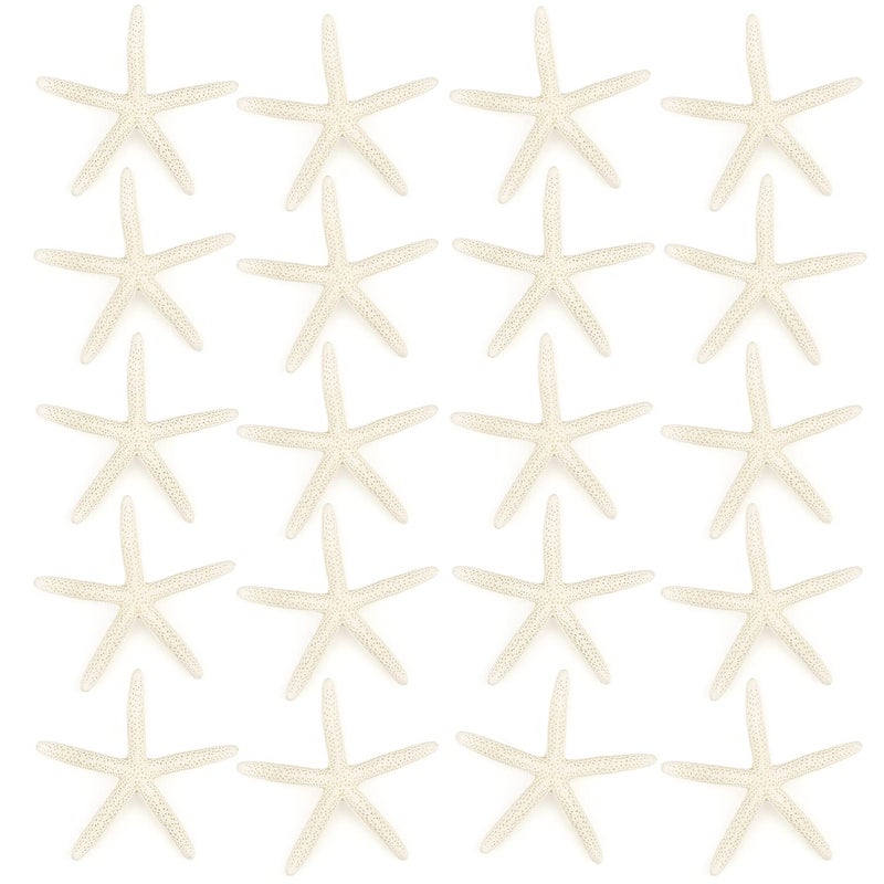 Jangostor 20 PCS Starfish 25 to 4 Natural Seashells Starfish Star Fish Shells Decorations White Starfish Ornaments Perfect for Wedding Beach Theme Party Home Decorations DIY Crafts Fish Tank