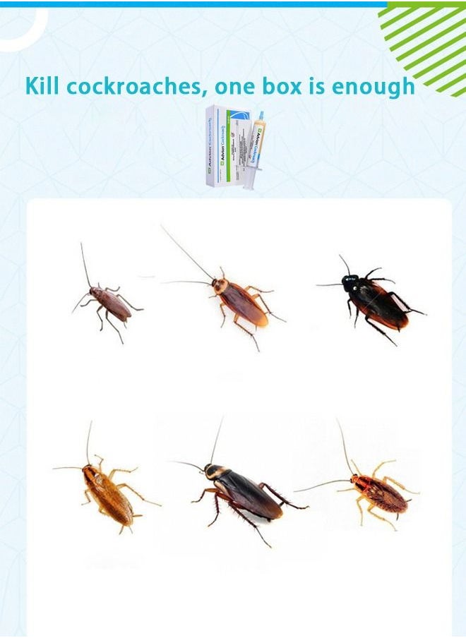 syngenta Cockroach Gel Bait Cockroach Pest Control Insecticide Original Imported USA 30 g  - Image 5