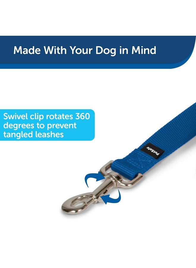 بيت سيف مقود الكلاب من النايلون من PetSafe - مقود قوي ومتين بتصميم تقليدي مع مشبك سهل الاستخدام - 3/4 بوصة × 4 أقدام، أزرق ملكي - Image 2