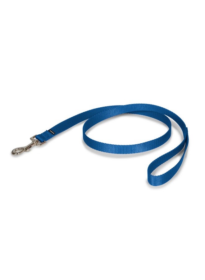 بيت سيف مقود الكلاب من النايلون من PetSafe - مقود قوي ومتين بتصميم تقليدي مع مشبك سهل الاستخدام - 3/4 بوصة × 4 أقدام، أزرق ملكي - Image 1