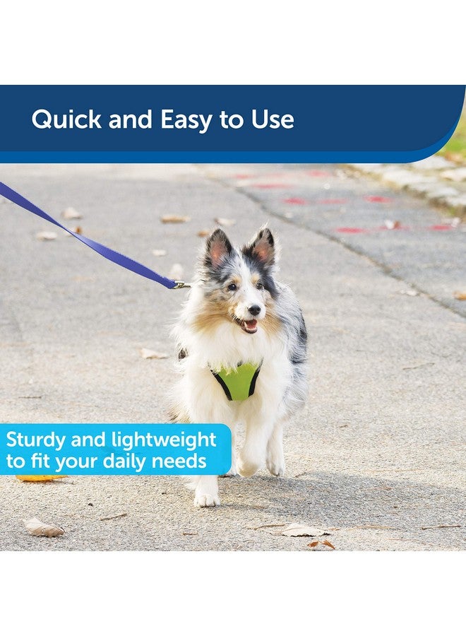 بيت سيف مقود الكلاب من النايلون من PetSafe - مقود قوي ومتين بتصميم تقليدي مع مشبك سهل الاستخدام - 3/4 بوصة × 4 أقدام، أزرق ملكي - Image 3