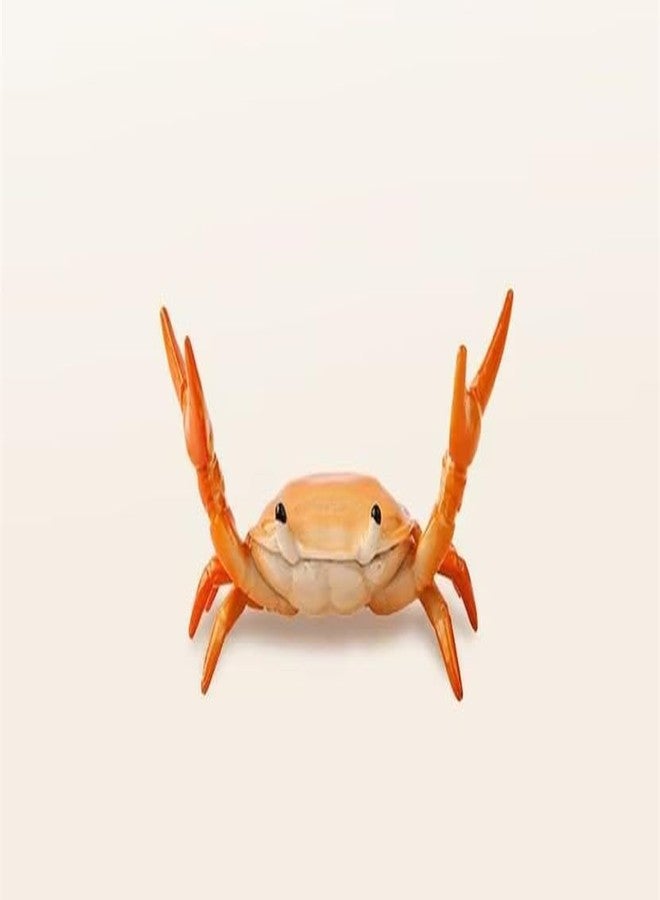 Tnyvm Orange Creative Crab Pen Holder Weightlifting Crabs Pen Stand Storage Rack, Office Desktop Decoration, Pencil Holders Desk Supplies Holders and Dispensers, Desk Accessories and Workspace Organizers - Image 1