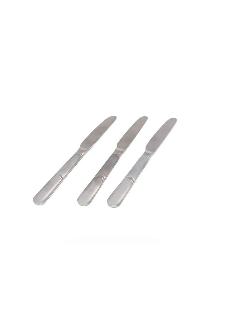 LTR طقم سكاكين طاولة من الفولاذ المقاوم للصدأ 12 قطعة برنس 059200107 فضي من الفولاذ المقاوم للصدأ من الدرجة الغذائية سكين طاولة مصقول بمرآة آمن في غسالة الصحون للاستخدام في المنزل أو المطبخ أو المطعم - Image 3