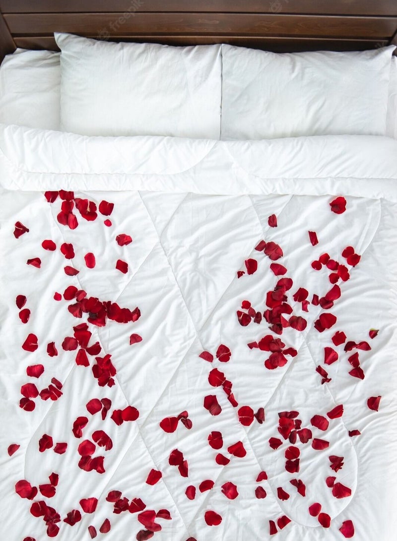 HOMESTAR 1000 Pieces Artificial Rose Petal Set For Wedding Party Event Decorations - Image 2