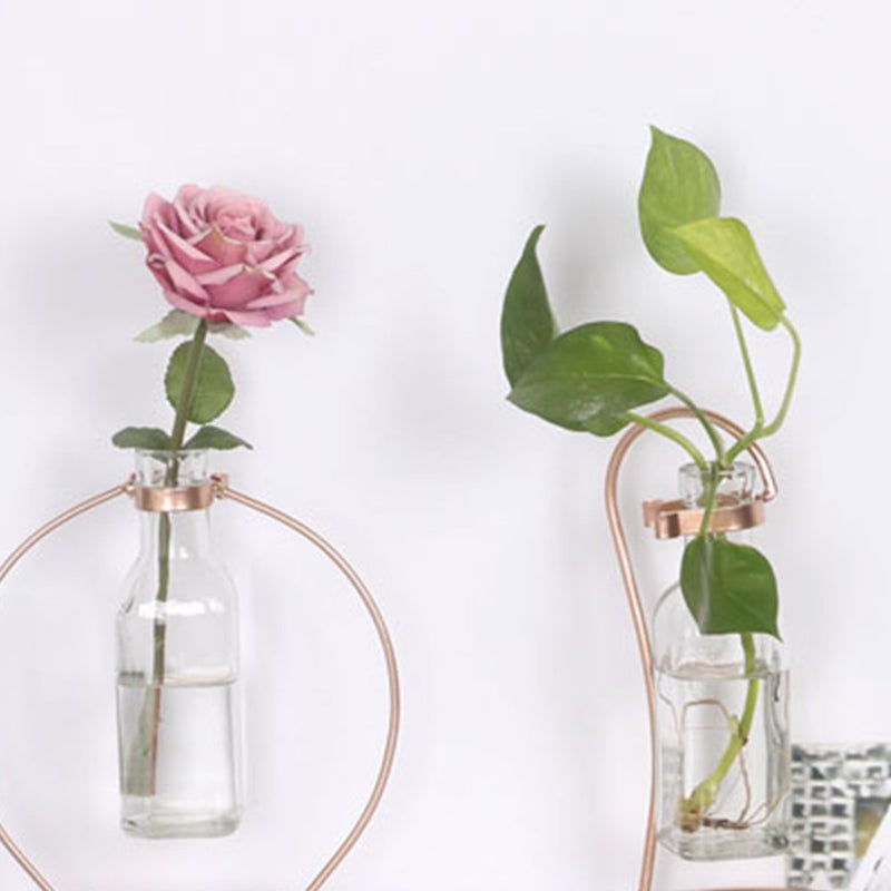 🌱 إبريق زجاجي للزراعة النباتية لتزيين المكتب من حديد مصنوع يدوي ا حجم ٥ - Image 4