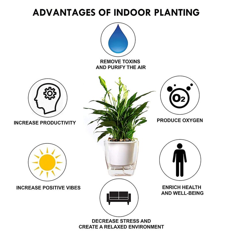 ABOUT SPACE Self Watering Pot - 5 Inch Plastic Automatic Watering Planters with Transparent Pot for Succulent, Foliage Plants, and Herbs - Indoor, Outdoor, Balcony, Garden, Home (Set of 2, Only Pots) - Image 3