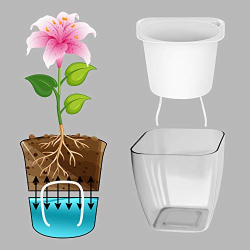 ABOUT SPACE Self Watering Pot - 5 Inch Plastic Automatic Watering Planters with Transparent Pot for Succulent, Foliage Plants, and Herbs - Indoor, Outdoor, Balcony, Garden, Home (Set of 2, Only Pots) - Image 5