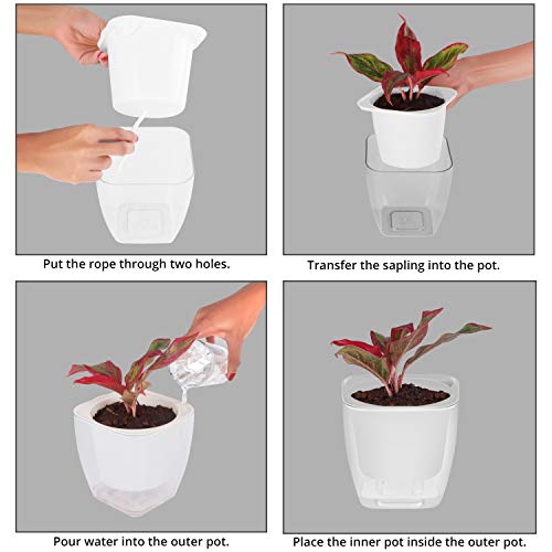 ABOUT SPACE Self Watering Pot - 5 Inch Plastic Automatic Watering Planters with Transparent Pot for Succulent, Foliage Plants, and Herbs - Indoor, Outdoor, Balcony, Garden, Home (Set of 2, Only Pots) - Image 4