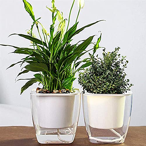 ABOUT SPACE Self Watering Pot - 5 Inch Plastic Automatic Watering Planters with Transparent Pot for Succulent, Foliage Plants, and Herbs - Indoor, Outdoor, Balcony, Garden, Home (Set of 2, Only Pots) - Image 1